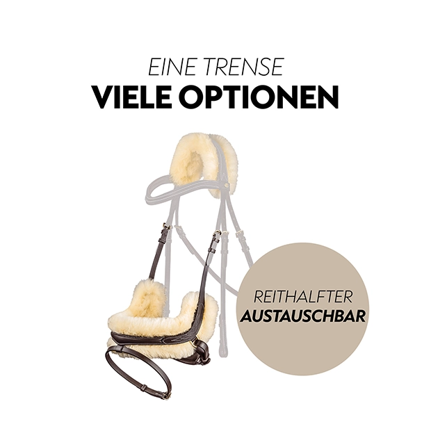 Swedish bridle "Oxford" with reins