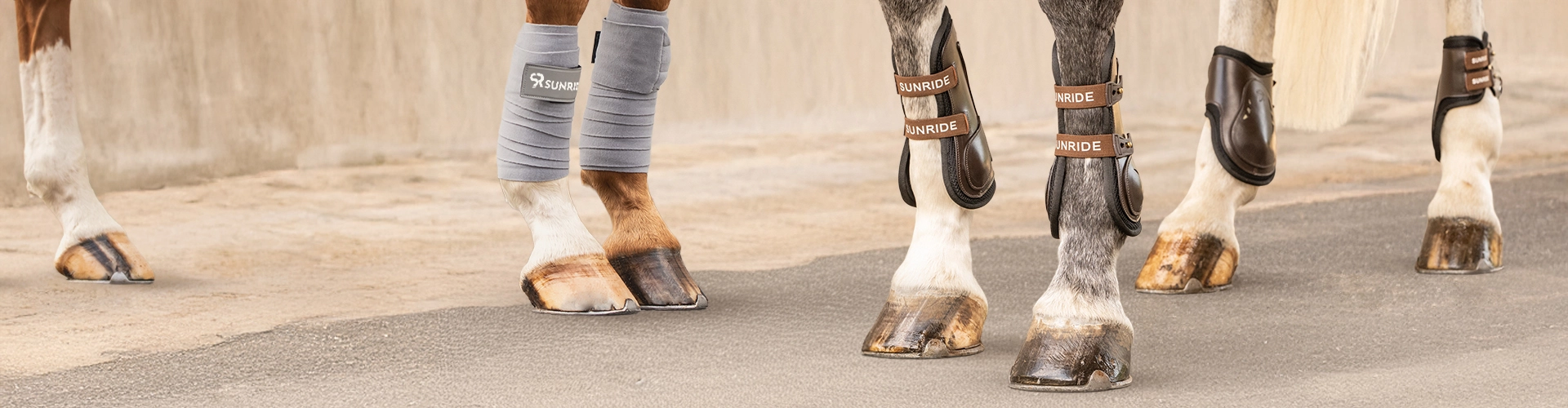 Beinschutz  Mehrere Pferdebeine mit verschiedenen Gamaschen und Beinschützern auf dem Asphalt vor einer grauen Mauer