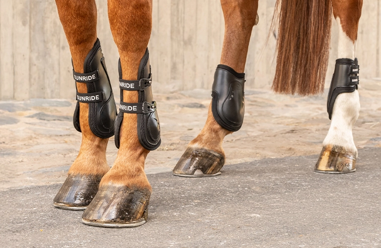 Springgamaschen Vier Pferdebeine mit braunen Gamaschen und Streichkappen auf dem Asphalt und vor einer Mauer links daneben der Text Abgestimmt Komplett Sicher