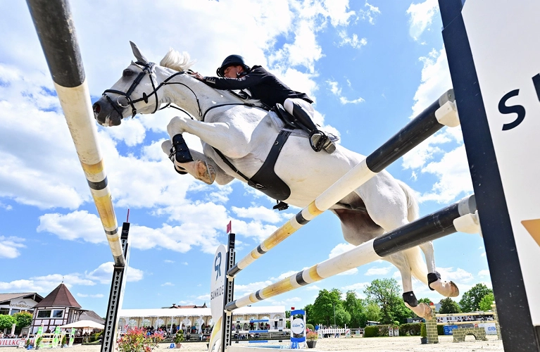 Leder Stollengurt Hickstead Ein Pferd und ein Reiter springen über ein Sprung und das Pferd hat den Leder Stollengurt Hickstead an