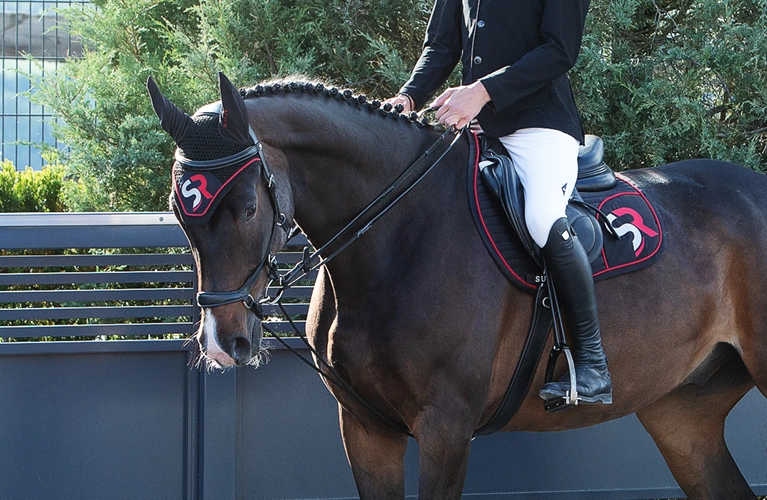 Schlaufzügel Ein Reiter sitzt auf einem Pferd das Schlaufzügel drinnen hat im Hintergrund sind ein Zaun und grüne Bäume zu sehen