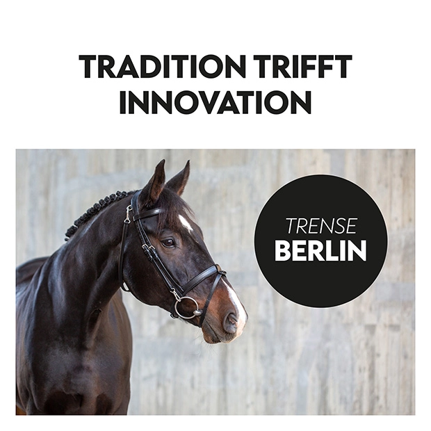 English combined bridle "Berlin" with reins English combined bridle "Berlin" with reins