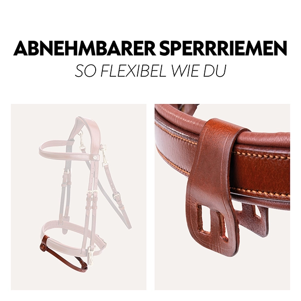 Englisch kombinierte Trense "Berlin" mit Zügel