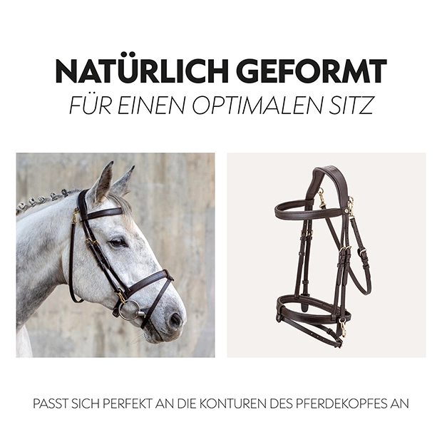 English combined bridle "Berlin" with reins English combined bridle "Berlin" with reins