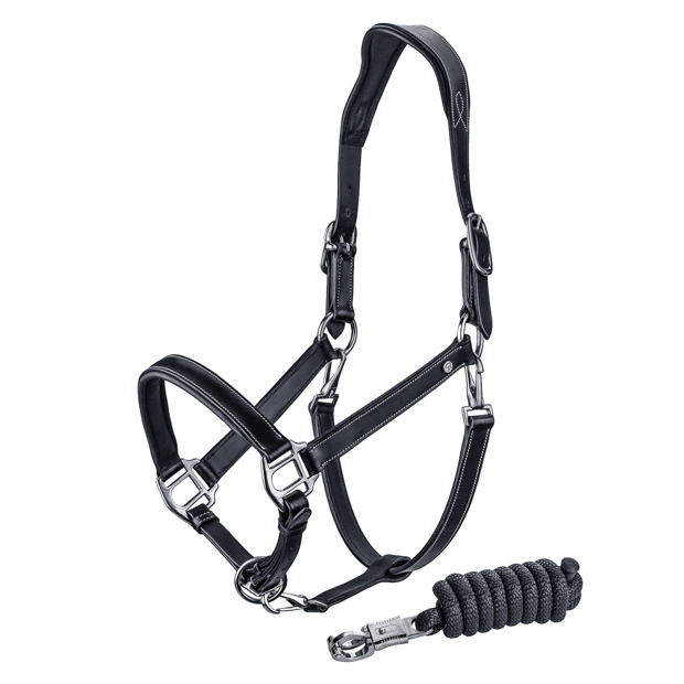 1 black leather halter dallas with silver mounting including matching lead rope by sunride