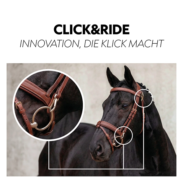 Englisch kombinierte Trense "Berlin" mit Zügel