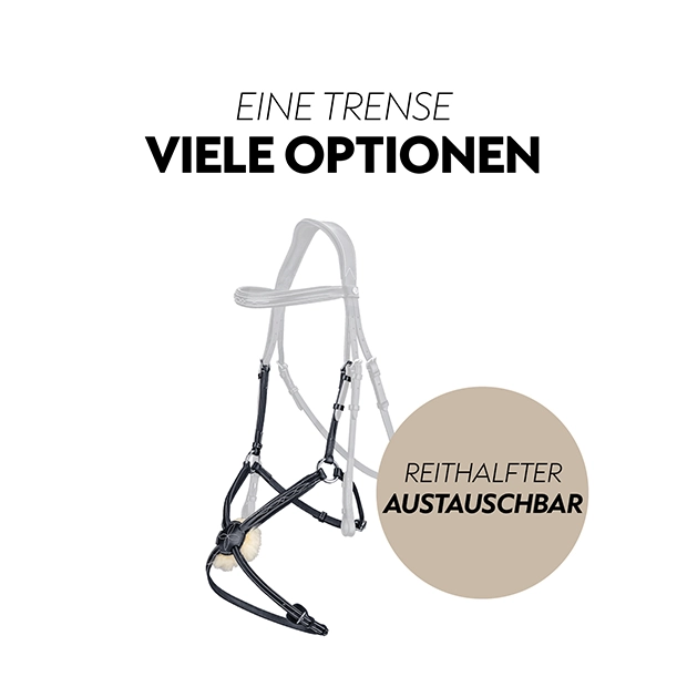 Eine schwarze Trense mit einem austauschbaren Reithalfter und verschiedenen Optionen für die Anpassung.