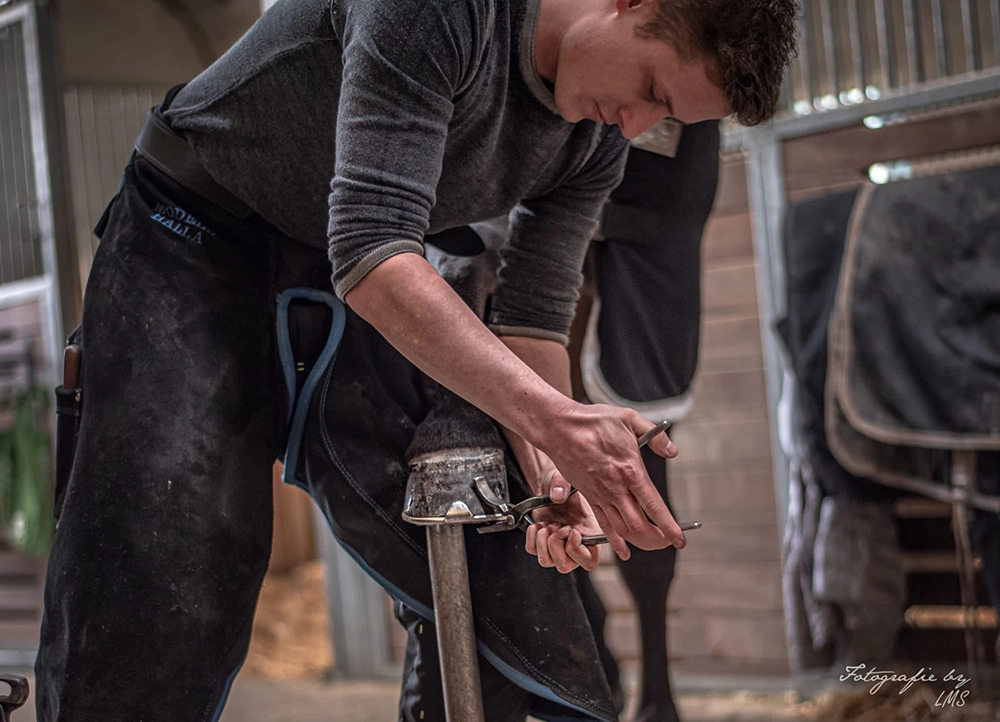the farrier shoes a horse