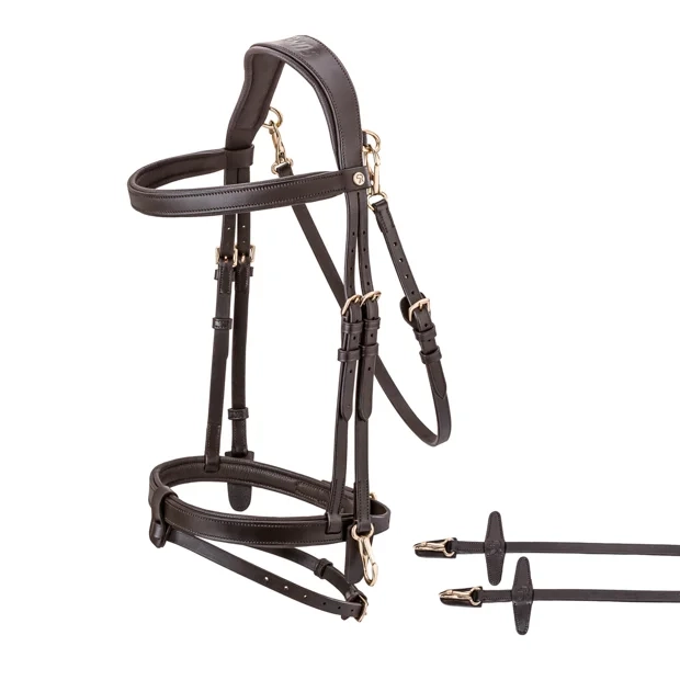 1 detailed view of included reins