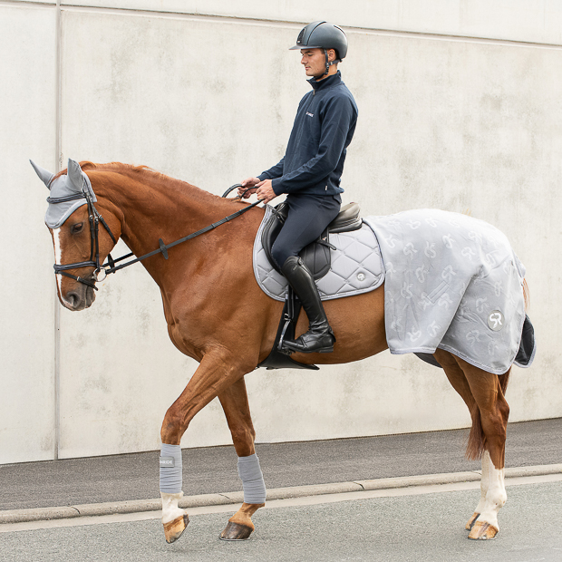 wellington set grau mit abschwitzdecke, bandagen, schabracke und fliegenhaube am pferd wellington set grau mit abschwitzdecke, fleece bandagen, satteldecke sowie passendem elastischen fliegenhaube am pferd mit reiter