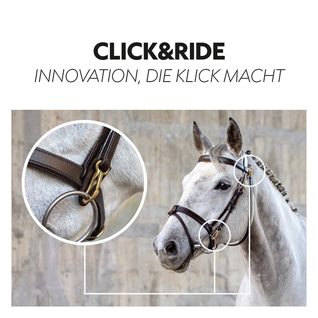 English combined bridle "Berlin" with reins English combined bridle "Berlin" with reins