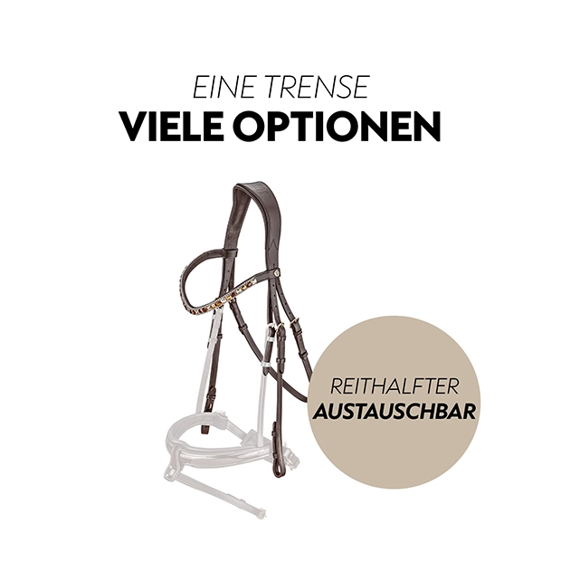 A brown horse bridle is displayed with interchangeable noseband options, showcasing its versatile design for equestrian use.