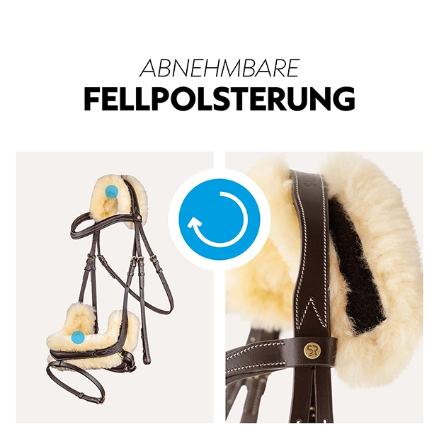 Swedish bridle "Oxford" with reins