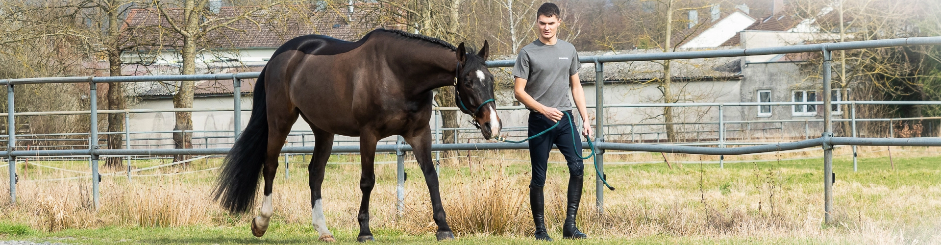 Lederhalfter mit Strick Denver Ein Pferd läuft mit seinem Reiter an einer Koppel entlang und es trägt das Lederhalfter Denver