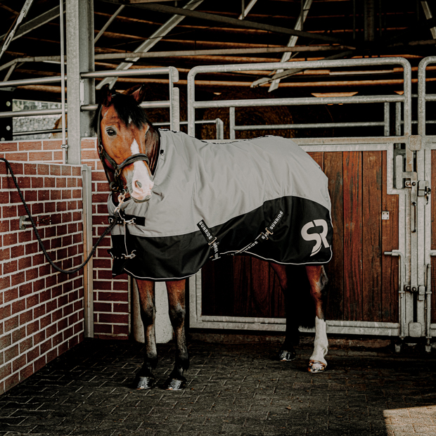 horse with winter rug helsinki 250 grams grey grey helsinki winter rug with 250 grams filling and reflecting elements and red leather cord halter by sunride on a horse in front of a stable