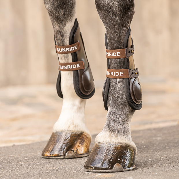 leder springgamaschen  braun mit elastischen  strippen  am pferdebein leder springgamaschen  braun mit elastischen  strippen und sunride schriftzug am pferdebein