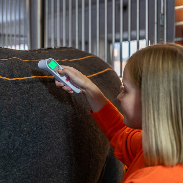 heat check on grey heating rug st. moritz from wool on horse with rider grey wool heating rug st. moritz with three levels of heating and program on a horse in the stable with rider checking heating