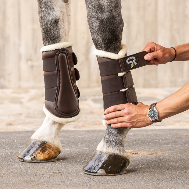 leather and fur dressage boots brown on horse while attaching brown dressage leather boots from leather and fur inside with elastic velcro closures on horse leg while attaching by rider