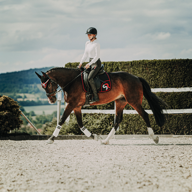 dressage saddle pad red black breathable with fur on horse in full set breathable dressage saddle pad red and black exclusive line with fur on withers under saddle on a horse in full sunride set