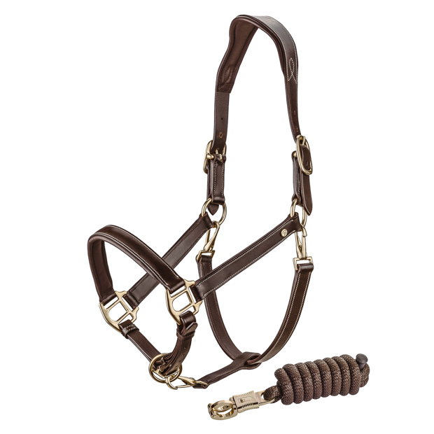 1 brown leather halter dallas with golden mounting including matching lead rope by sunride