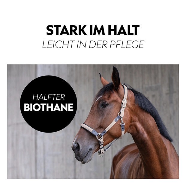 Ein braunes Pferd trägt ein Biothane Halfter, das stabil und pflegeleicht aussieht.