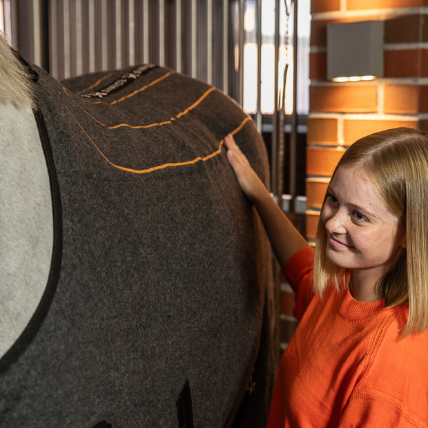 grey heating rug st. moritz from wool on horse with happy rider grey wool heating rug st. moritz with three levels of heating and program on a horse in the stable with happy rider