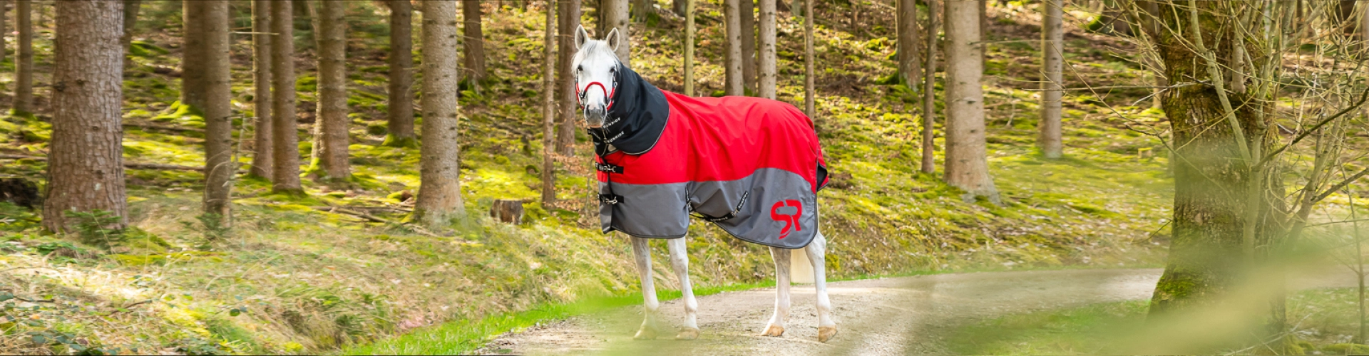 Winterdecke Helsinki Ein Pferd steht auf einem Waldweg und trägt eine rot-graue Decke mit Halsteil von Sunride Modell Helsinki