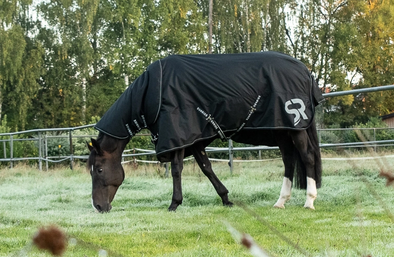 Regendecke Dublin mit Halsteil Ein Pferd steht bei kälte auf der Koppel und es trägt die Regendecke Dublin mit Halsteil