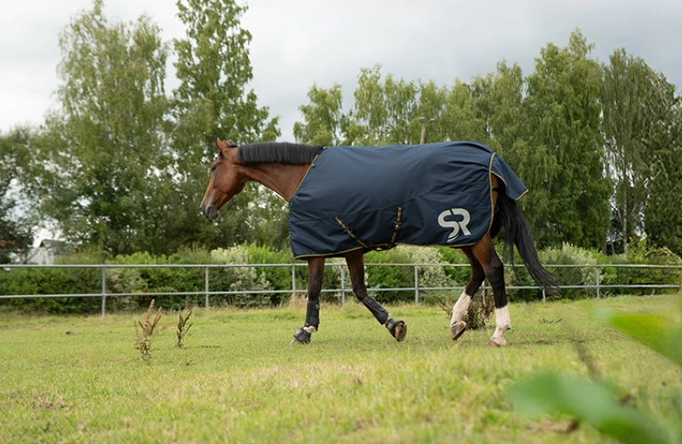 Winterdecke Stockholm  Ein Pferd steht auf der Koppel mit Winterdecke  Stockholm in blau