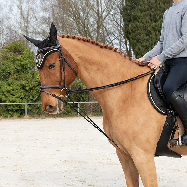 Draw Reins Draw Reins