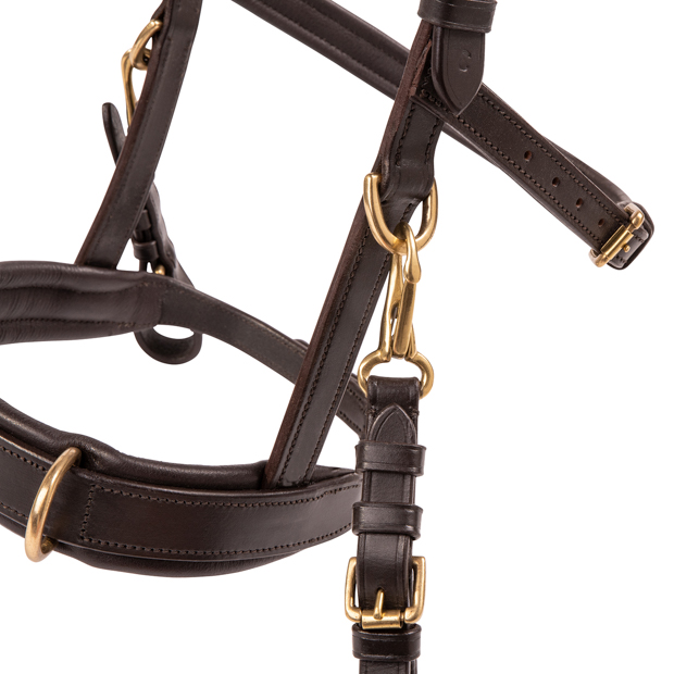 golden mounting on brown golden leather cavesson bridle ely including reins cavesson bridle ely in brown leather with detailed view of golden mounting including reins by sunride