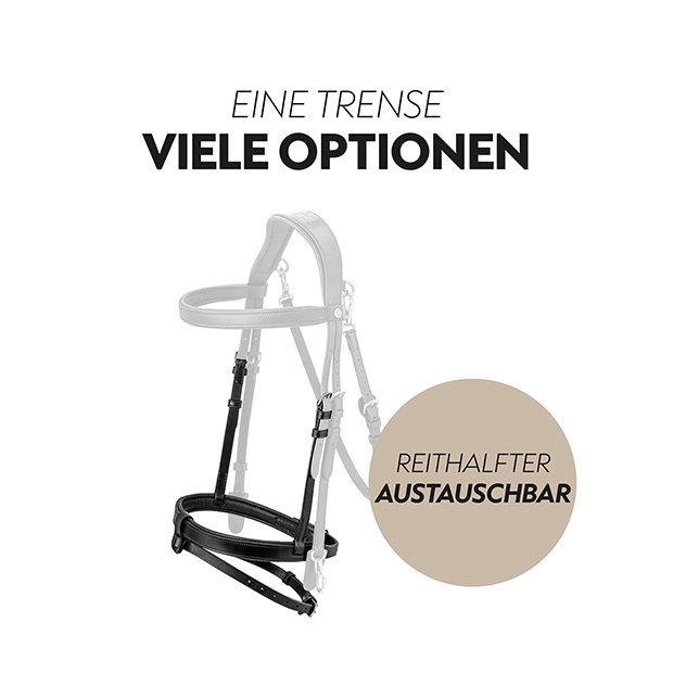 English combined bridle "Berlin" with reins English combined bridle "Berlin" with reins