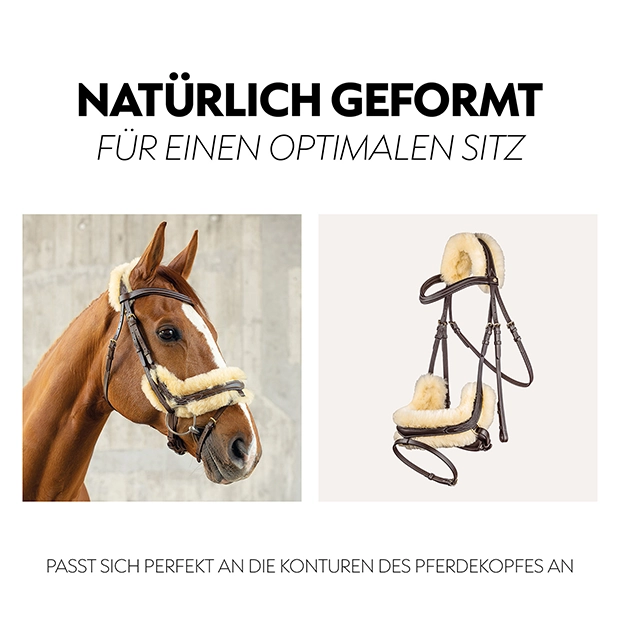 Swedish bridle "Oxford" with reins