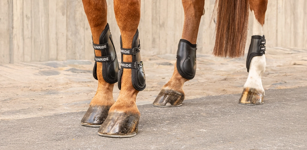 Springgamaschen Vier Pferdebeine mit braunen Gamaschen und Streichkappen auf dem Asphalt und vor einer Mauer links daneben der Text Abgestimmt Komplett Sicher