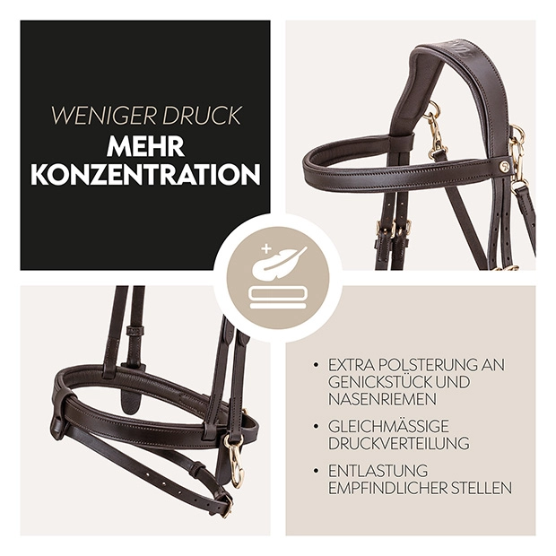 English combined bridle "Berlin" with reins English combined bridle "Berlin" with reins