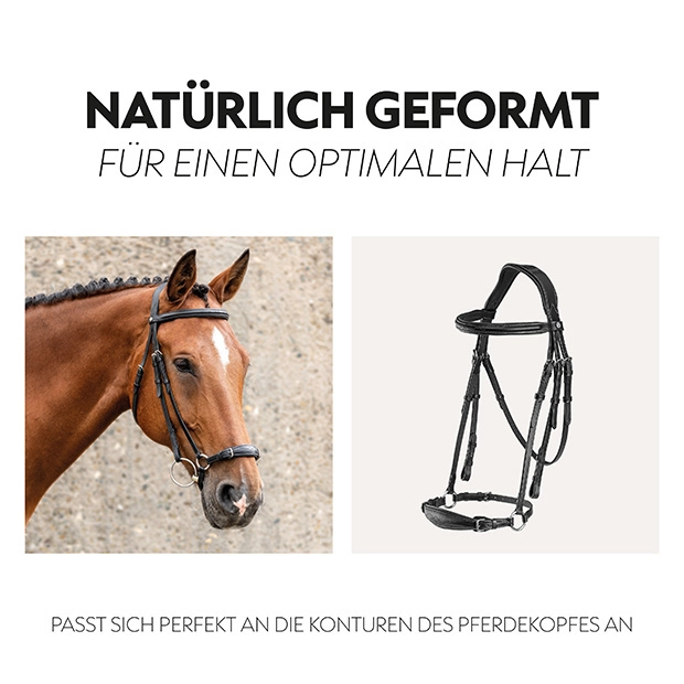 Hanoverian bridle "Hannover" with reins