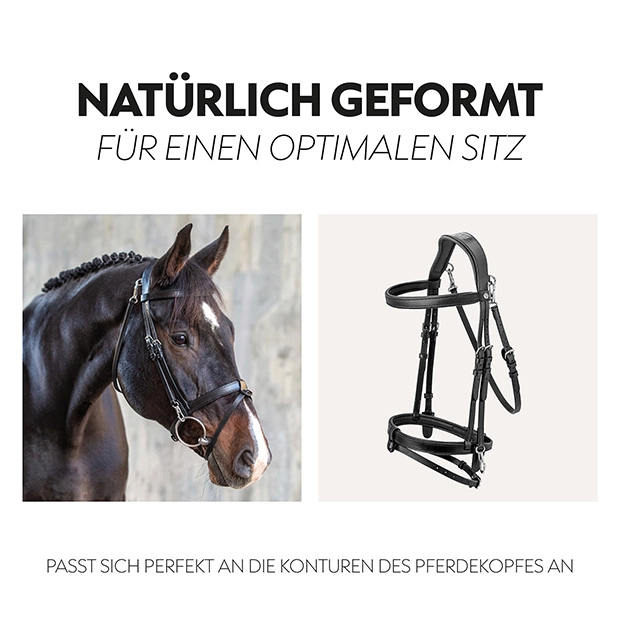 English combined bridle "Berlin" with reins