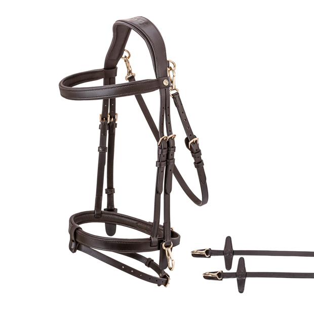 English combined bridle "Berlin" with reins