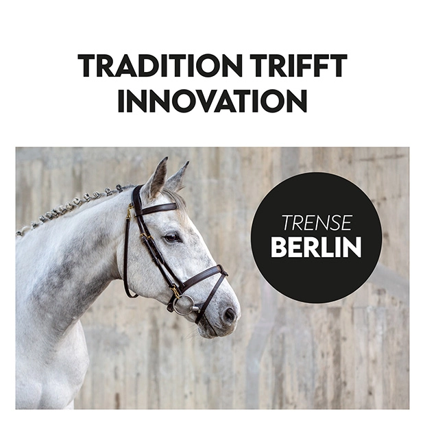English combined bridle "Berlin" with reins English combined bridle "Berlin" with reins