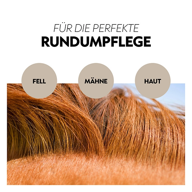 Shampoo for horses 500 ml Shampoo for horses 500 ml