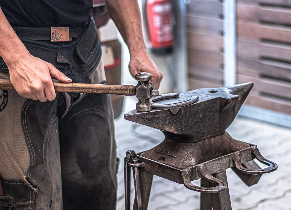 Hoof Care: From the History of the Farrier to the Most Common Hoof Diseases Hoof Care: From the History of the Farrier to the Most Common Hoof Diseases