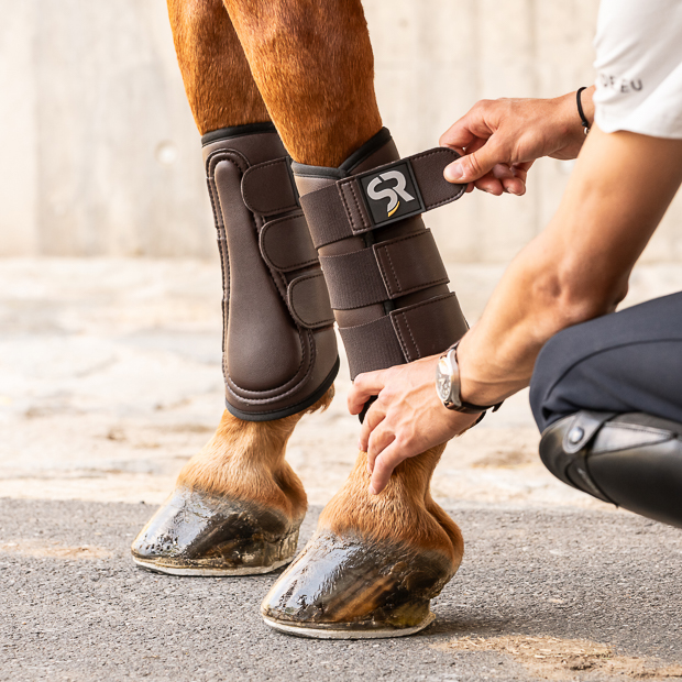 leather dressage boots brown on horse while attaching brown dressage leather boots from leather and neoprene inside with elastic velcro closures on the horse leg while attaching by rider