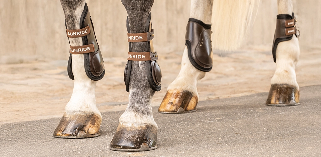 Springgamaschen Mehrere Pferdebeine mit braunen Gamaschen und Streichkappen auf Asphalt vor einer hellen Mauer
