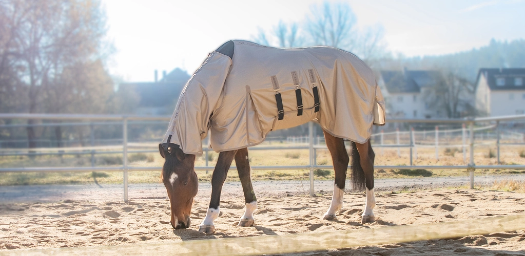Fliegendecke mit Bauchlatz und festem Halsteil Kuba Ein Pferd steht auf dem Paddock mit der Kuba Fliegendecke