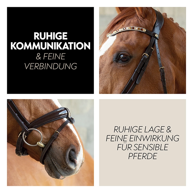 A close, up of a brown horse wearing a bridle with a decorative browband, showcasing details of the bridle and the horse's gentle expression.