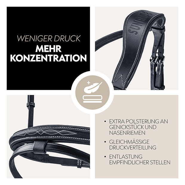 English combined bridle "London" with reins