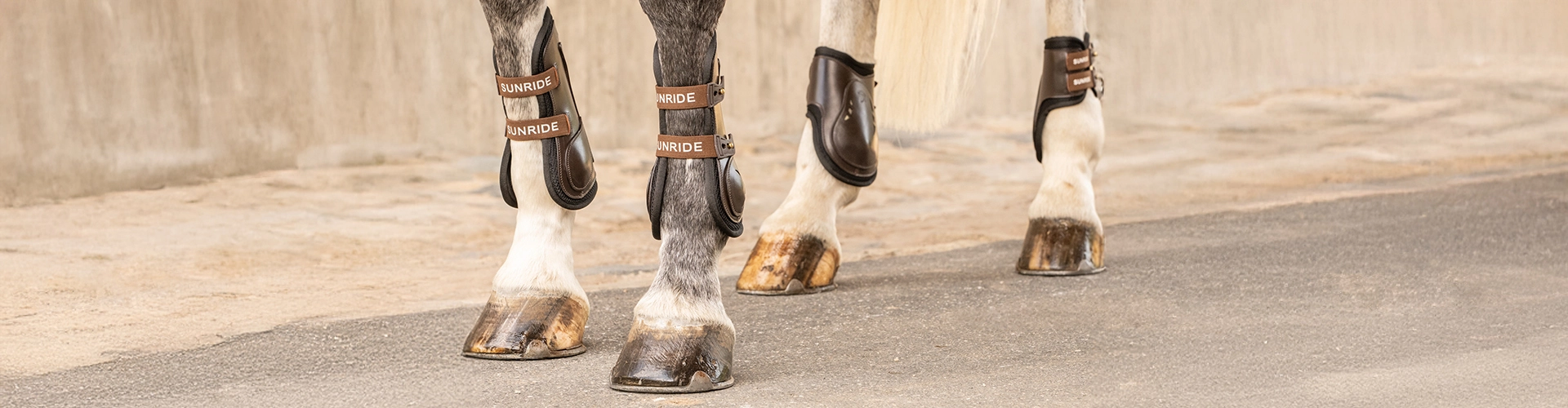 Mehrere Pferdebeine mit braunen Gamaschen und Streichkappen auf Asphalt vor einer hellen Mauer