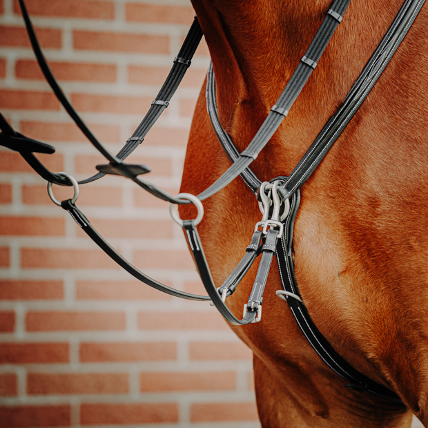 windsor black breastplate with martingal and elastic straps by sunride on a horse