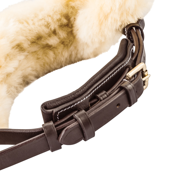 padded nose band of brown swedish leather bridle with fur padding oxford including reins detailed view of padded nose band of brown swedish leather bridle oxford with golden mounting and fur padding including reins by sunride
