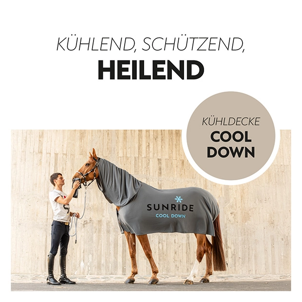 3in1 Cooling Rug "Cool Down” 3in1 Cooling Rug "Cool Down”